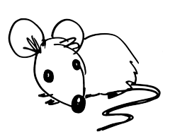 Mouse1
